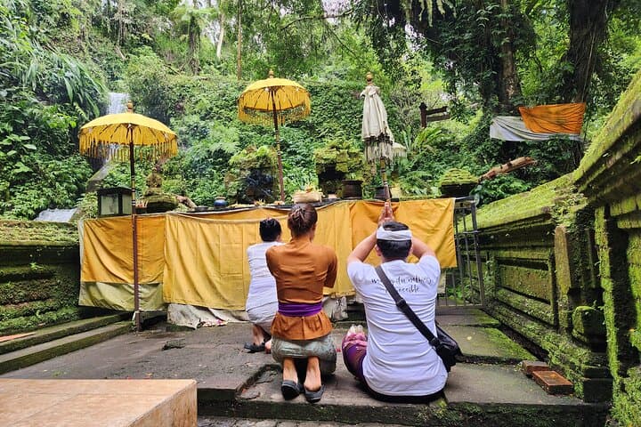 Ubud Healing and Giant Swing Day: Purification Rituals and Rice-Terrace Views photo 2