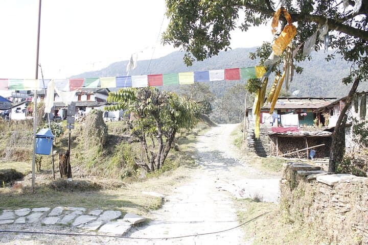 7-Day Langtang Valley Trek from Kathmandu — Kyanjin Gompa & Alpine Views photo 5