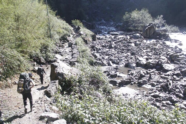 7-Day Langtang Valley Trek from Kathmandu — Kyanjin Gompa & Alpine Views photo 6