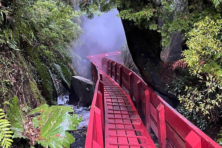 Geometric Thermal Baths Day Trip from Valdivia — Lake Calafquén, Panguipulli & Soaking photo 5