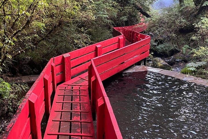 Geometric Thermal Baths Day Trip from Valdivia — Lake Calafquén, Panguipulli & Soaking photo 6
