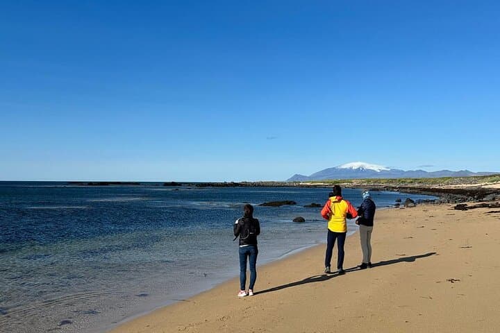 Snaefellsnes Peninsula Private Tour: Kirkjufell, Lava Fields & Seal Beaches photo 3