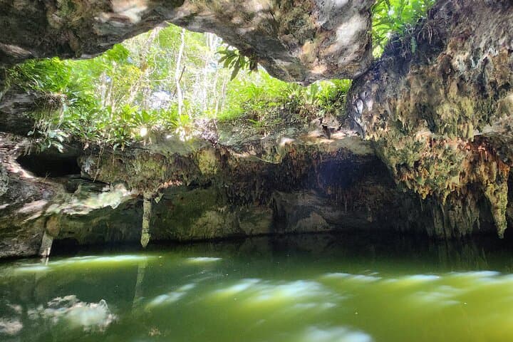 Cozumel ATV Adventure: Jungle Trails, Jade Cavern & Tequila Tasting photo 4
