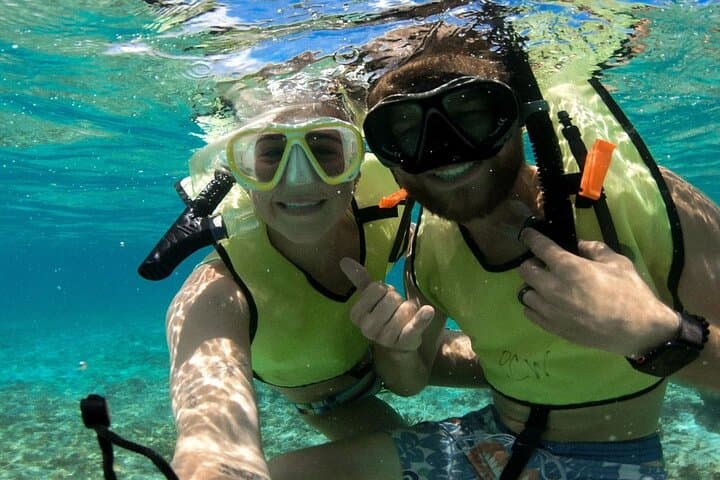 Explore the Vibrant Florida Keys Coral Reef: Half Day Snorkel Adventure in Key Largo photo 6