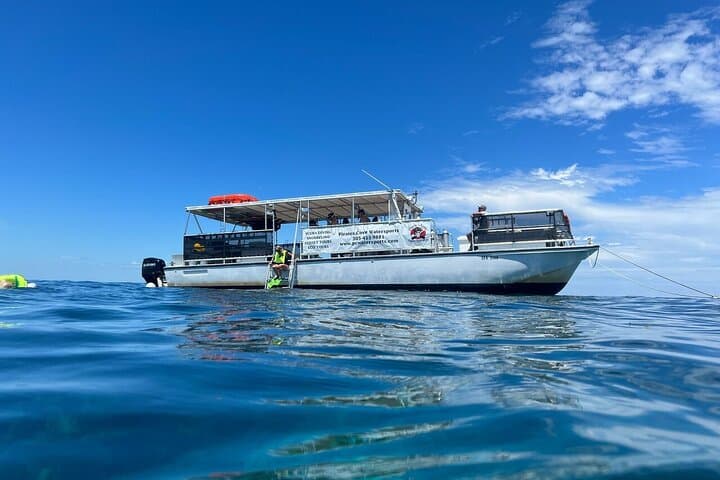 Explore the Vibrant Florida Keys Coral Reef: Half Day Snorkel Adventure in Key Largo