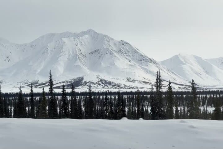 Fairbanks to Denali: Trial Shuttle with Pro Photography (Summer & Winter) photo 6