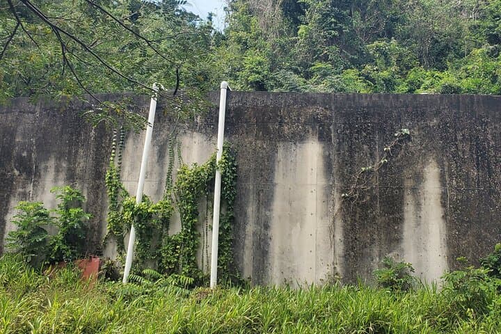Wingfield Estate Rainforest Hike: Panoramic Tour from Basseterre photo 5