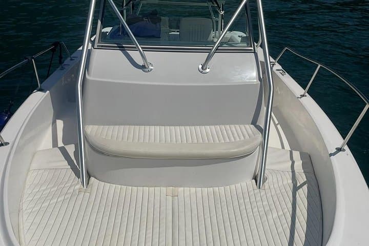 Private 1-Hour Boat Tour on Lake Como: Villas, Views & Custom Cruise photo 5