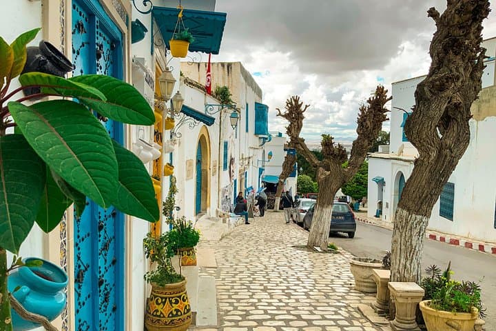 Day Trip to Carthage, Sidi Bou Said & Tunis Medina: Historic Highlights photo 2