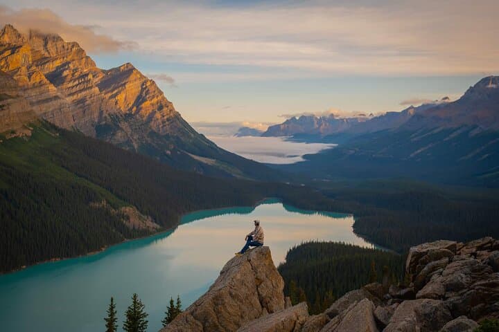 Emerald Lake, Natural Bridge & Peyto Lake — Small-Group Half-Day Tour from Banff