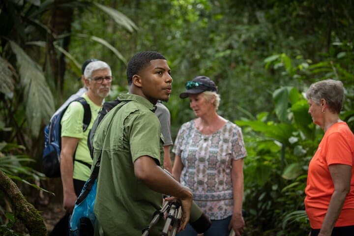 Tortuguero Full-Day Canoe, Jaguar Trail Hike & Night Walk