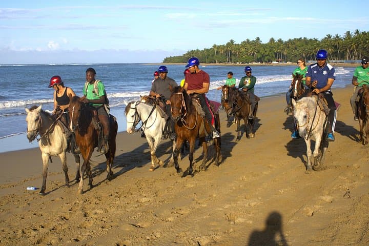 Puerto Plata Beach Horseback Riding and Ocean Swim on Horseback photo 2