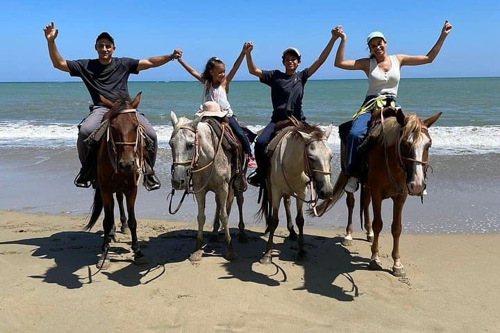 Puerto Plata Beach Horseback Riding and Ocean Swim on Horseback photo 6
