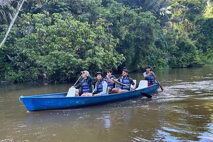 Tortuguero Full-Day Canoe, Jaguar Trail Hike & Night Walk photo 3