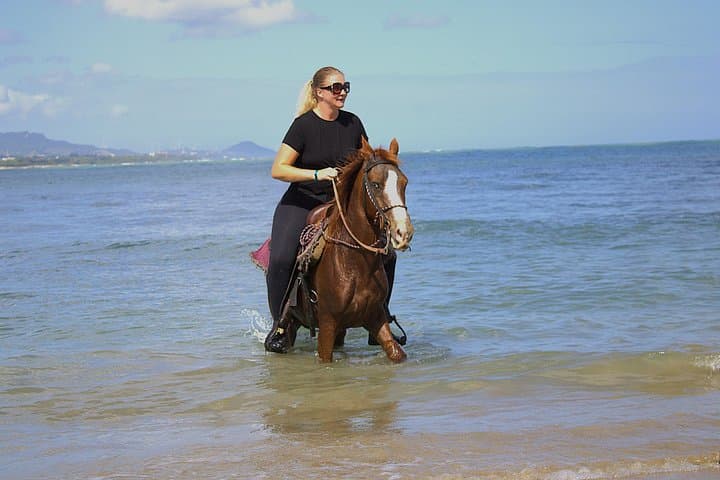 Puerto Plata Beach Horseback Riding and Ocean Swim on Horseback