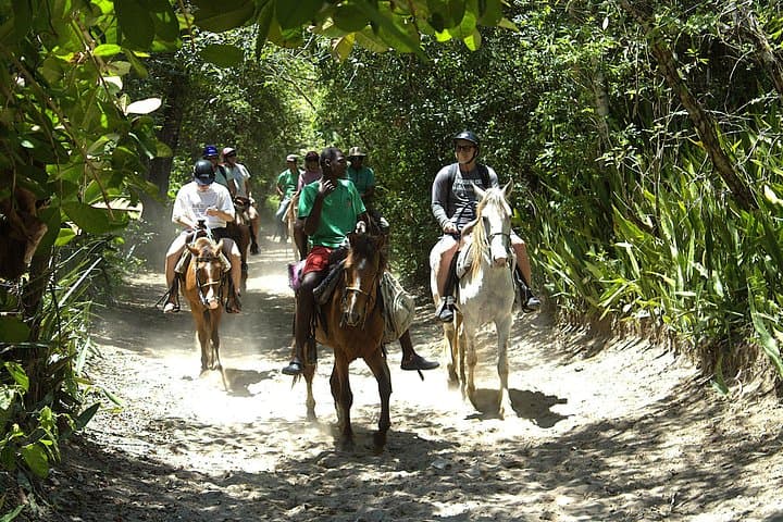 Puerto Plata Beach Horseback Riding and Ocean Swim on Horseback photo 5