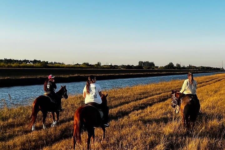 Horseback Riding Miami: Guided Trail Ride Through Open Acres