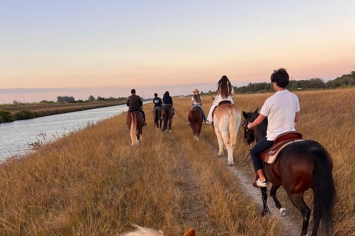 Horseback Riding Miami: Guided Trail Ride Through Open Acres photo 2