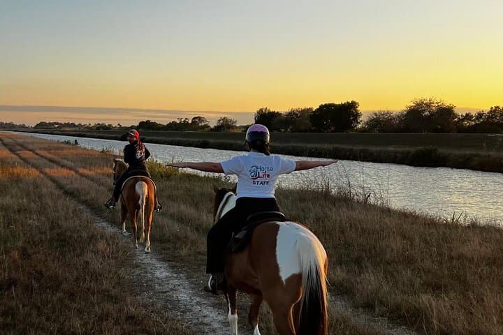Horseback Riding Miami: Guided Trail Ride Through Open Acres photo 3
