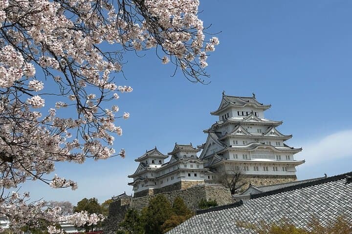 Private Kobe to Himeji Custom Tour with Airport Pickup and Drop-Off photo 4