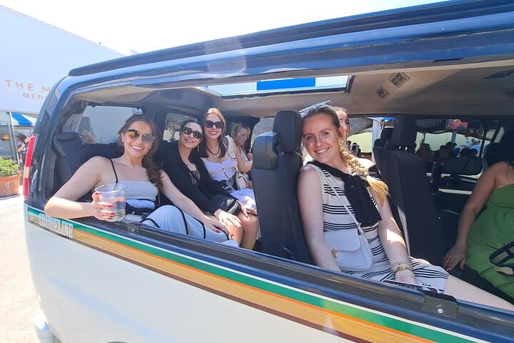Sing-Along Hollywood Carpool Karaoke Party Bus Tour photo 4