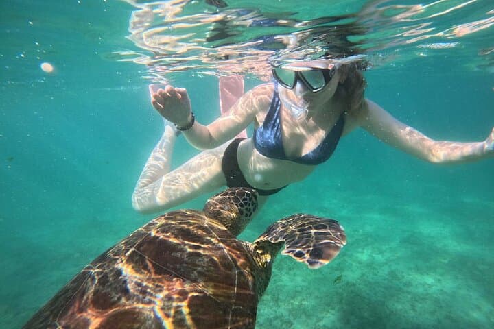 Snorkel with Turtles in Mirissa — South Coast Snorkeling Adventure photo 2