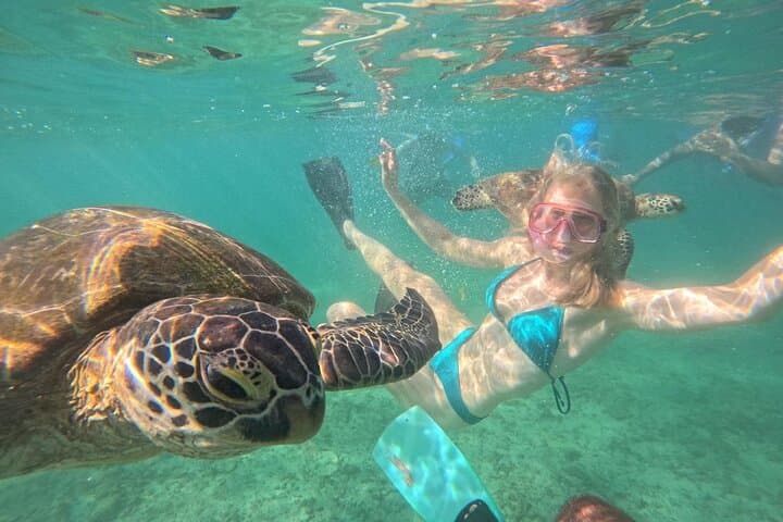 Snorkel with Turtles in Mirissa — South Coast Snorkeling Adventure photo 4