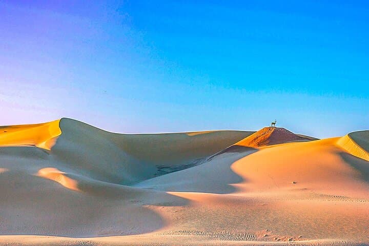 11-Day Algeria Family Tour: Roman Ruins, Sahara Dunes & Coastal Oran photo 3