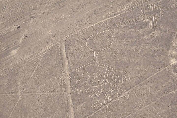 Nazca Lines Flight and Huacachina Dune Buggy Sunset Adventure from Ica photo 6