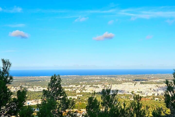 Vespa Through the Itria Valley: Polignano, Alberobello & Locorotondo photo 6