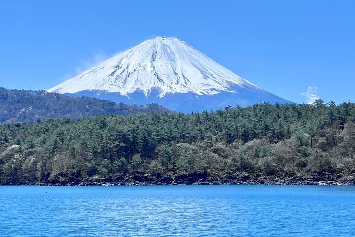 Full-Day Mount Fuji Private Tour: Lake Kawaguchiko, Chureito Pagoda & Cultural Stops photo 3