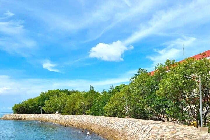 Can Gio Monkey Island Day Tour — Mangroves, Monkeys & Coastal History photo 5