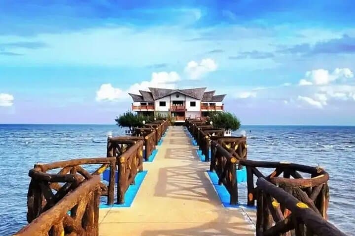 Can Gio Monkey Island Day Tour — Mangroves, Monkeys & Coastal History