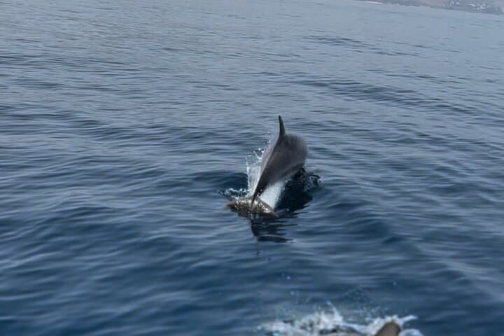 Private Taormina Sailing Cruise: Snorkel Isola Bella & Blue Grotto