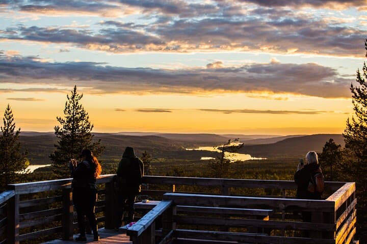 Rovaniemi Summer Arctic Birdwatching: Guided Bird Tower Experience
