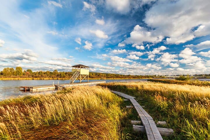 Rovaniemi Summer Arctic Birdwatching: Guided Bird Tower Experience photo 2