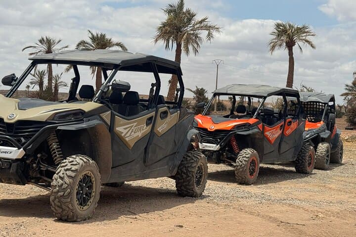 Marrakech Palmeraie Buggy Drive, Camel Ride & Mint Tea Experience photo 2