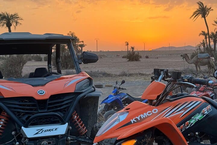 Marrakech Palmeraie Buggy Drive, Camel Ride & Mint Tea Experience photo 6