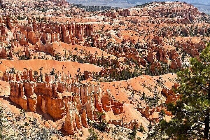 Bryce Canyon & Zion Private Day Trip from Las Vegas — Hoodoos, Canyons & Lookouts photo 5
