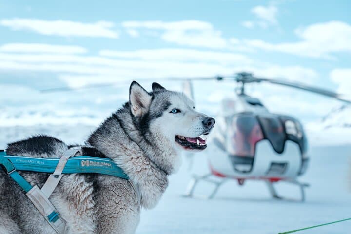 Fire and Ice Helicopter Tour: Land on Thorisjokull Glacier and Hengill Geothermal Valley photo 5