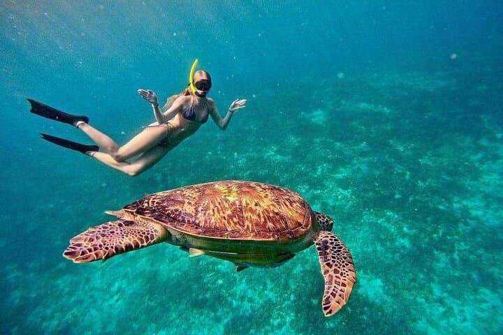 Gili Trawangan Private Snorkeling: Reefs, Statues & Turtles photo 2