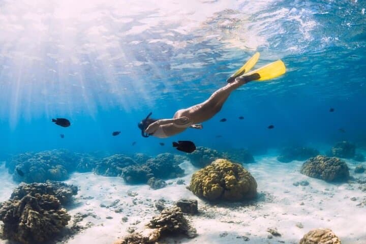 Gili Trawangan Private Snorkeling: Reefs, Statues & Turtles photo 3