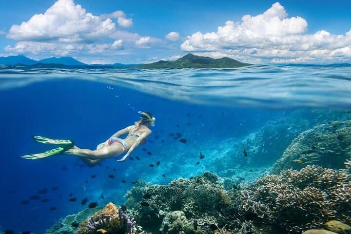 Gili Trawangan Private Snorkeling: Reefs, Statues & Turtles photo 4