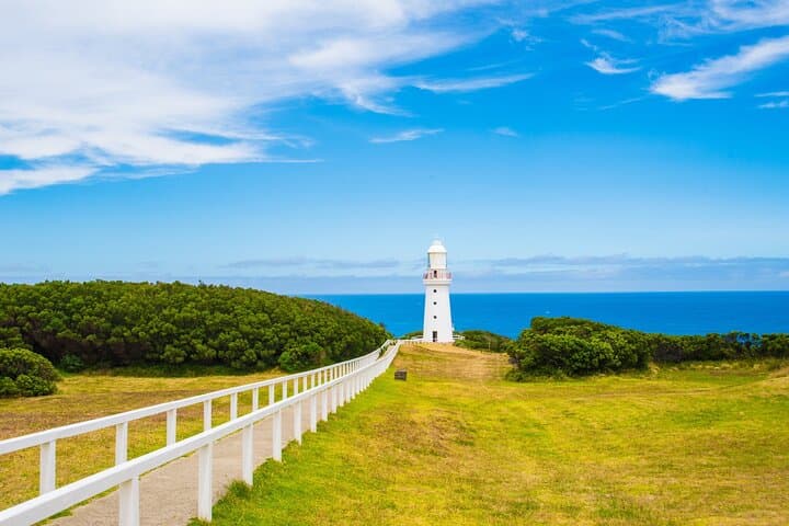 Self-Guided Great Ocean Road Audio Driving Tour — See the 12 Apostles & Coastal Highlights photo 6