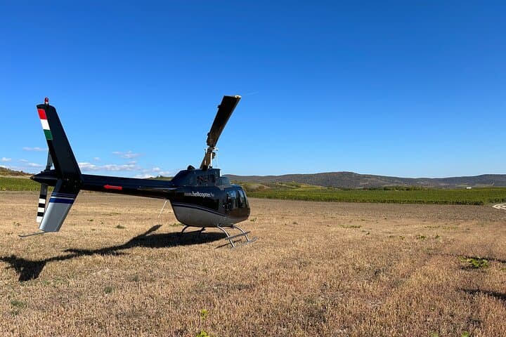 Budapest Helicopter Winery Tour: Etyek & Mór Tasting by Air photo 4