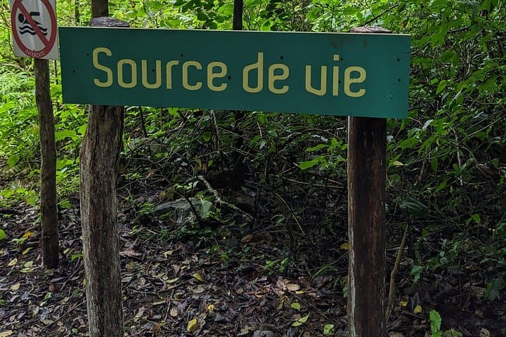 Antsiranana Amber Mountain Full-Day Tour — Rainforest Hikes, Waterfalls & Lemurs photo 3