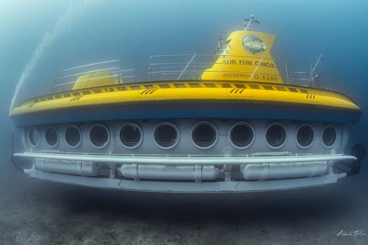 Tenerife Submarine Tour: 1-Hour Dive to the Atlantic Seabed photo 6