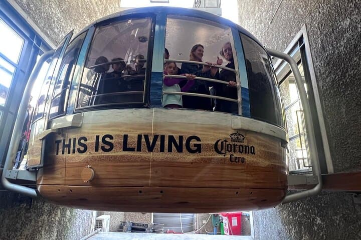 Table Mountain Half-Day Cable Car Tour from Cape Town – Tickets & Transfers photo 3