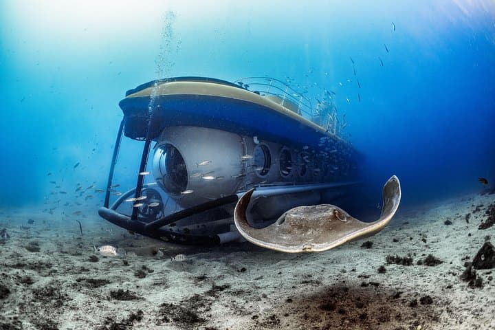 Tenerife Submarine Safari: 30m Beneath the Atlantic with Hotel Pickup