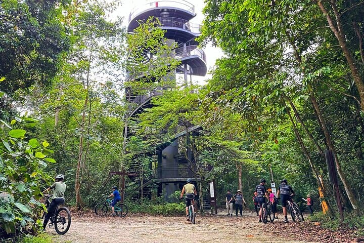 Singapore Mountain Biking: Bukit Timah, Chestnut & Mandai Off-Road Trails photo 5